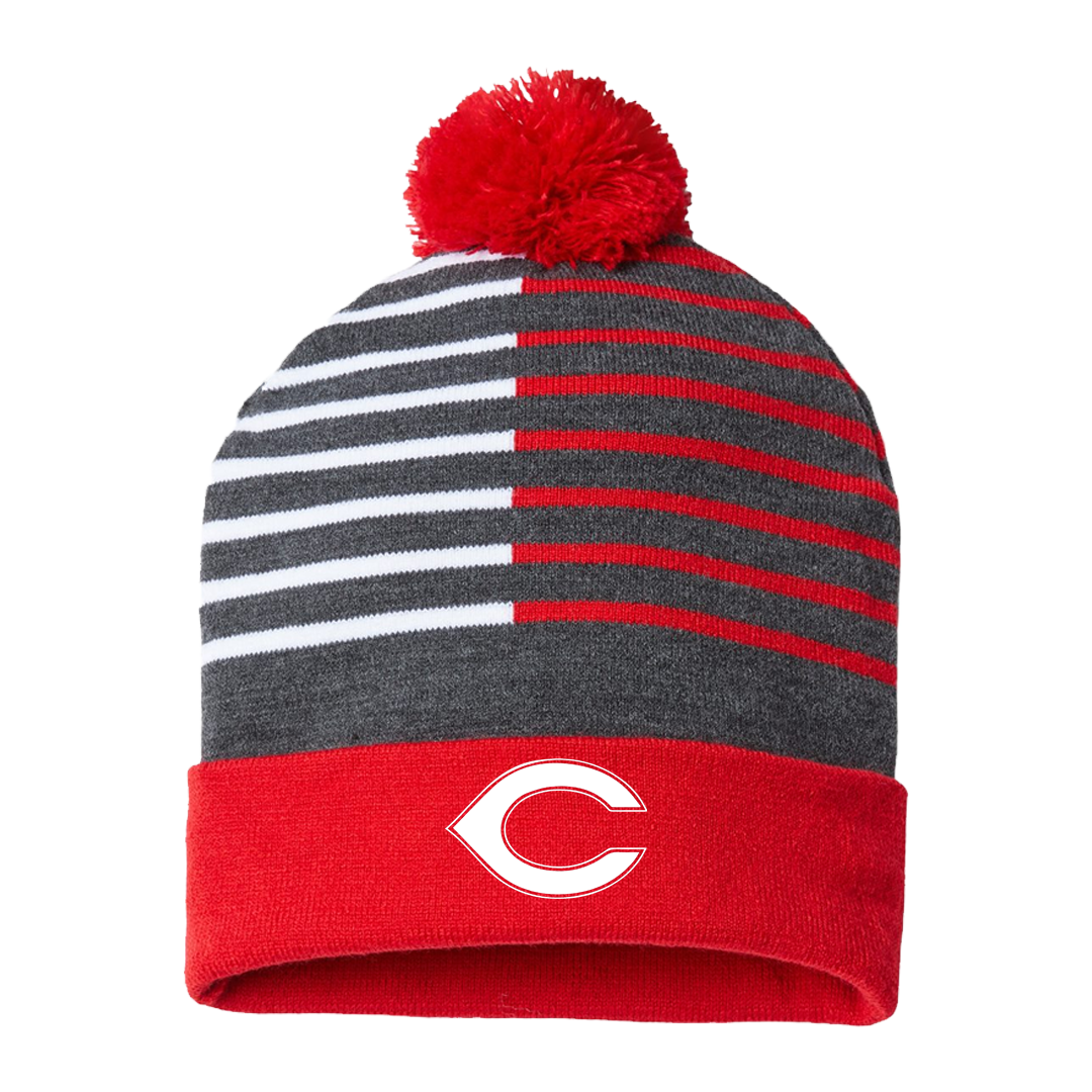 Tigers Striped Beanie