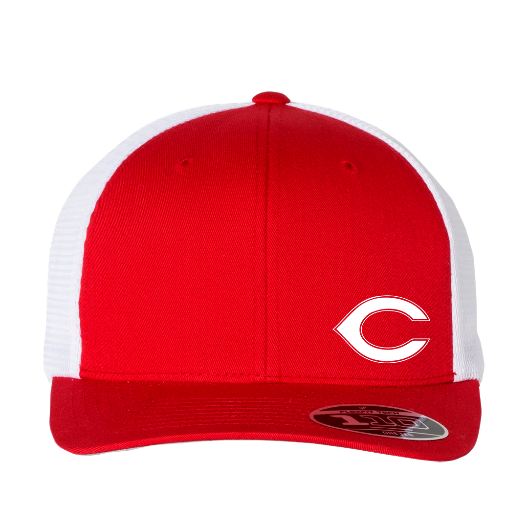 Tigers Logo Hat